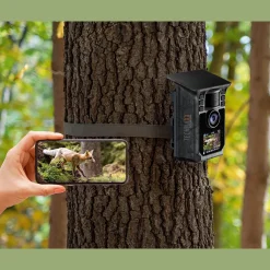 New Waschbär Solar Wifi Wildtierkamera