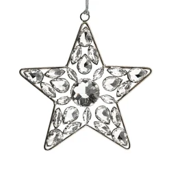 New Waschbär Sonnenfänger Kristallstern