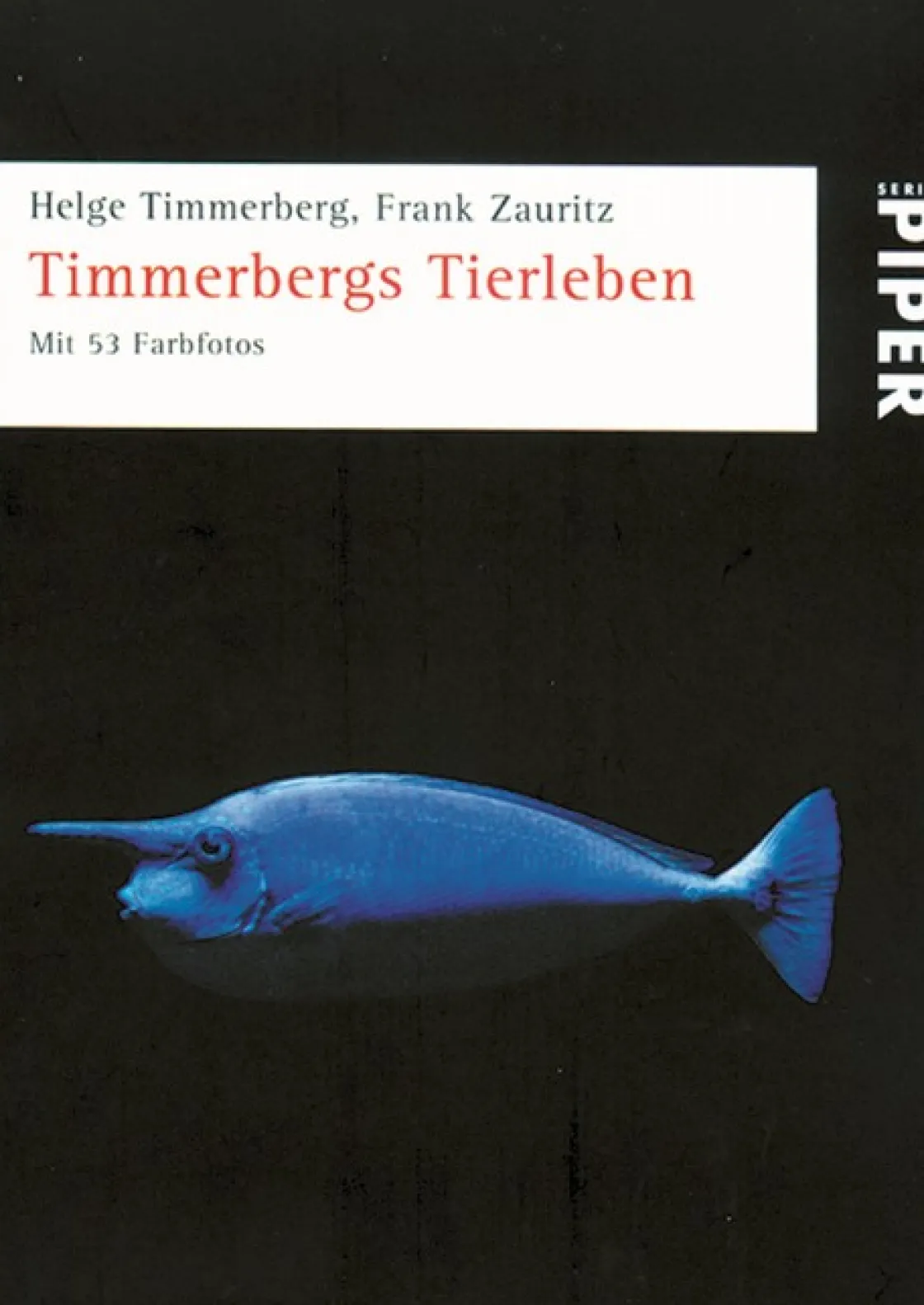 New Waschbär Timmerbergs Tierleben