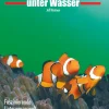 Hot Waschbär Traumziele unter Wasser