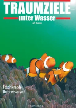 Hot Waschbär Traumziele unter Wasser