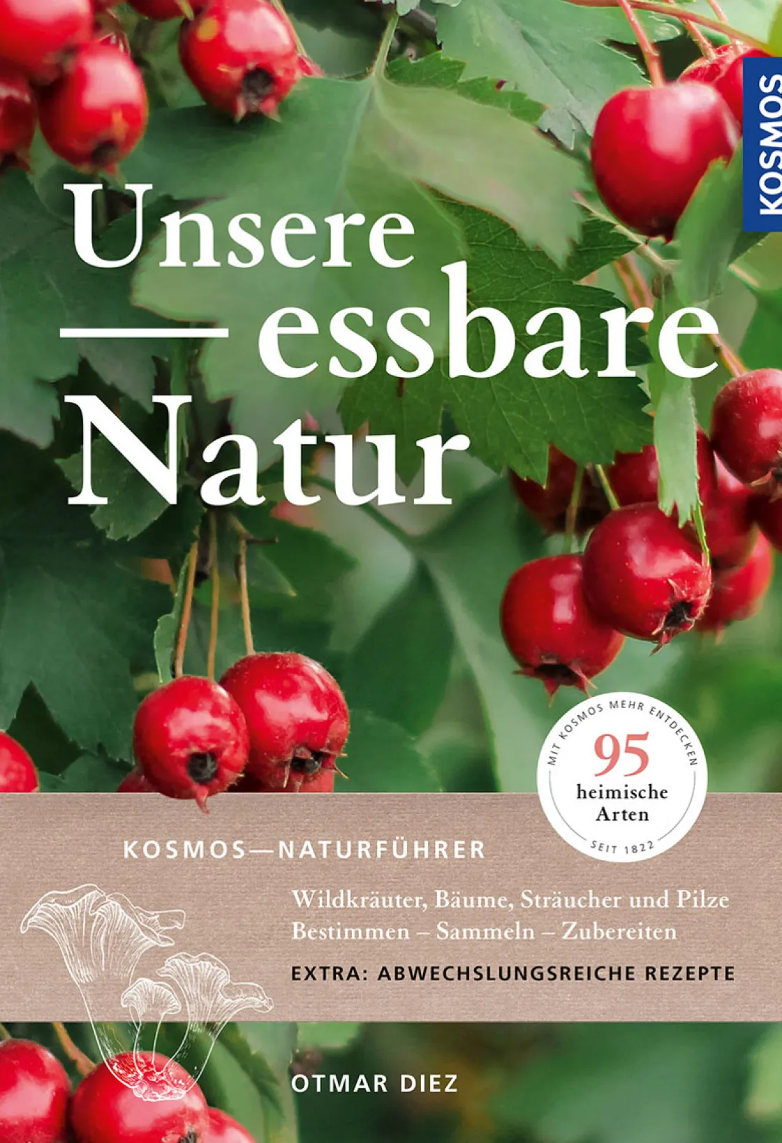 Waschbär Unsere Essbare Natur. Essbare Wildpflanzen, Beeren und Pilze.