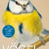New Waschbär Vögel - Bestimmen in drei Schritten