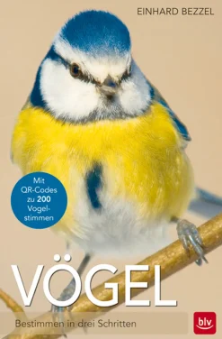 New Waschbär Vögel - Bestimmen in drei Schritten