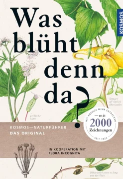 Sale Waschbär Was blüht denn da? Das Original.