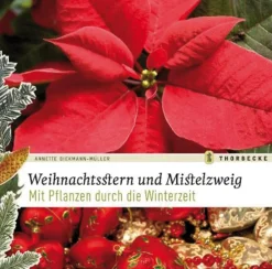 Sale Waschbär Weihnachtsstern und Mistelzweig.