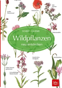 Hot Waschbär Wildpflanzen neu entdecken