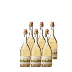 Online Waschbär Winterbirnentraum alkoholfrei, 6er-Set.