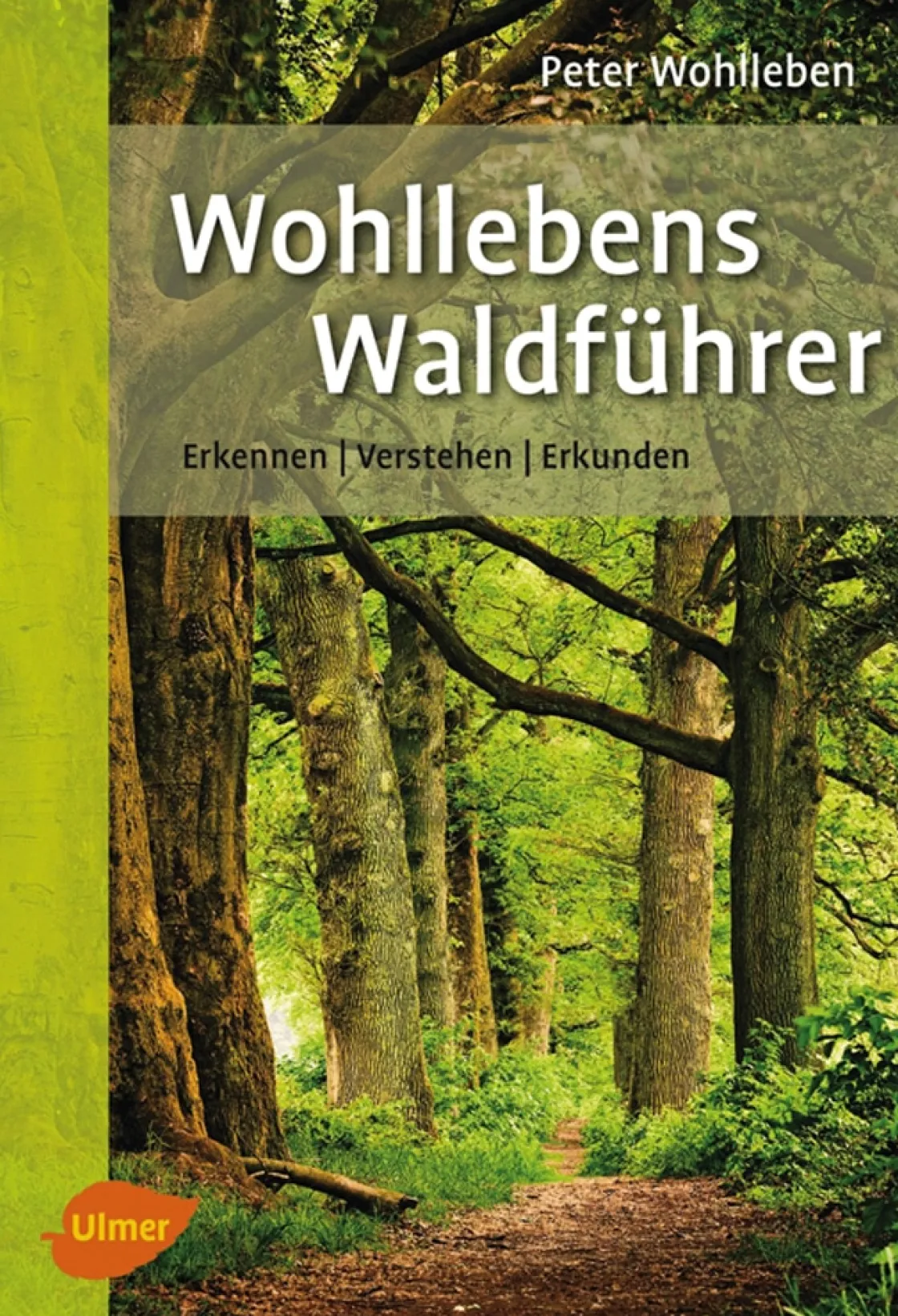 Waschbär Wohllebens Waldführer. Erkennen, verstehen, erkunden.