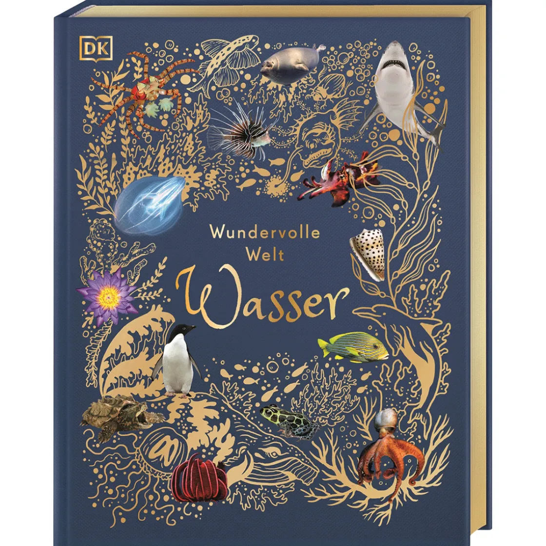 Best Waschbär Wundervolle Welt. Wasser.